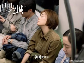 Download Drama China The Ideal City Subtitle Indonesia