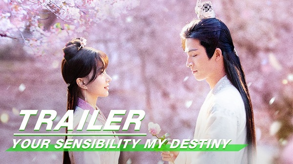 Download Drama China Your Sensibility My Destiny Subtitle Indonesia